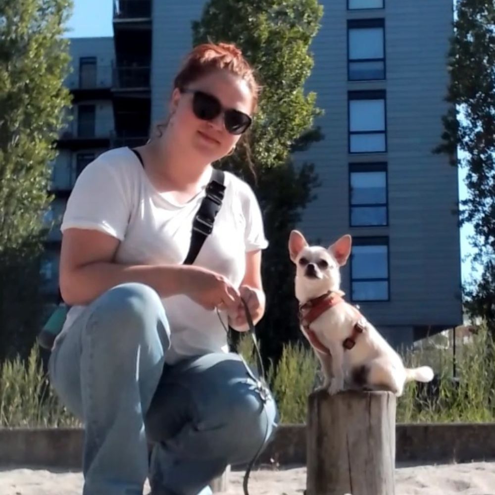 Gåturs-makker søges 🐶